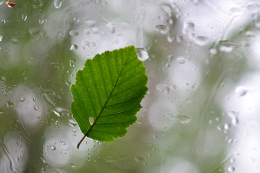 Similar image 21545992