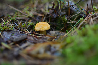 Similar image 21545993