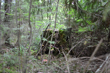 Similar image 21545994