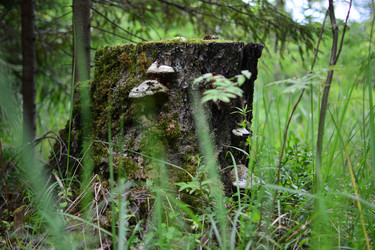 Similar image 21545995