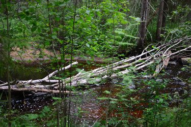 Similar image 21545997