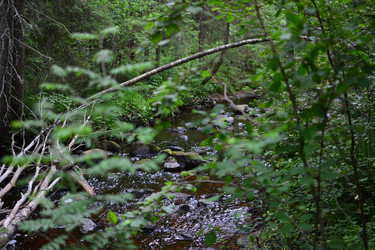 Similar image 21545998