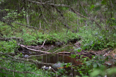 Similar image 21546000