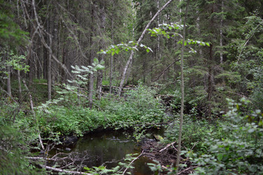 Similar image 21546001