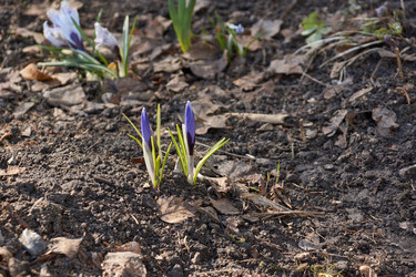 Similar image 21546858