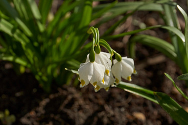 Similar image 21546860