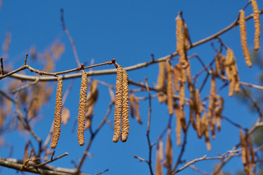 Similar image 21546861