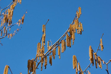 Similar image 21546004