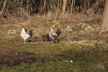 Similar image 21546863