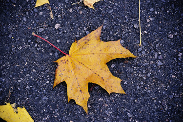 Similar image 21548872