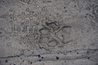 Similar image 21548892