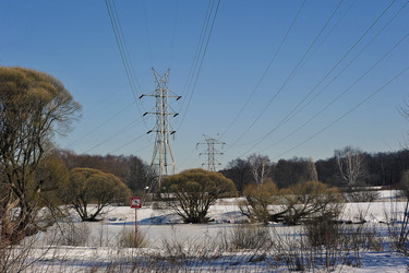 Similar image 21548896