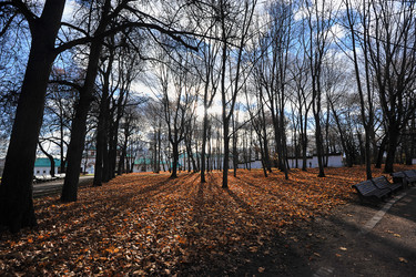 Similar image 21549067