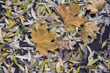 Similar image 21549072