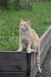 Similar image 21549076