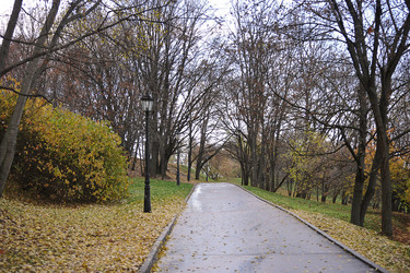 Similar image 21549081