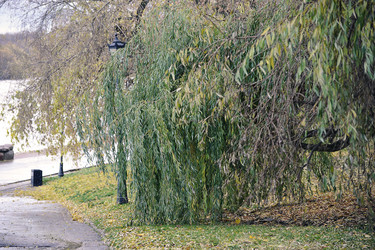 Similar image 21549083