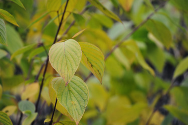 Similar image 21549086