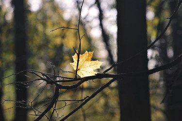 Similar image 21549088