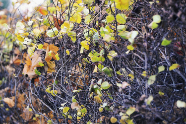 Similar image 21549090