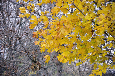 Similar image 21549091