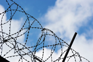 Similar image 21549093