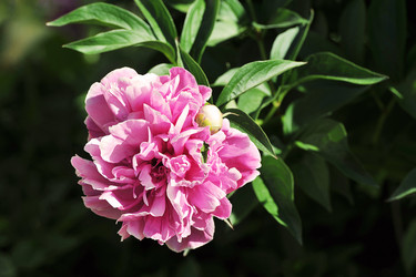 Similar image 21549097