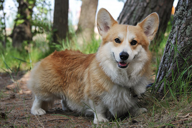 Similar image 21549105