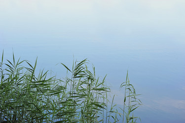 Similar image 21549112