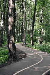 Similar image 21549114