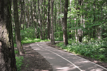 Similar image 21549116