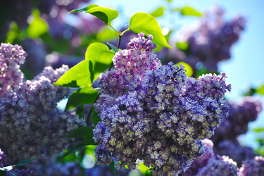 Similar image 21549151