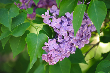 Similar image 21549158