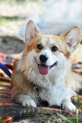 Similar image 21548916