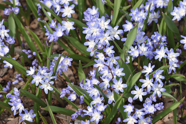 Similar image 21548935