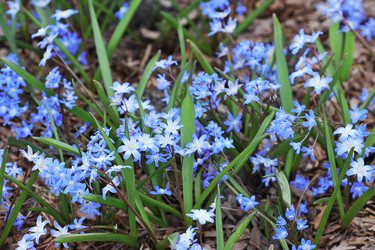 Similar image 21548936