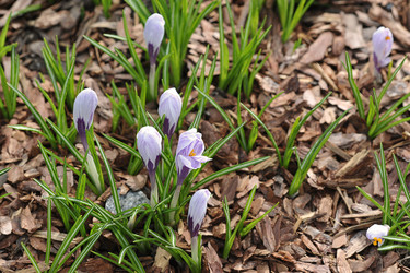 Similar image 21548940