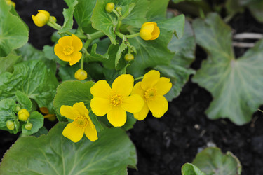 Similar image 21548941