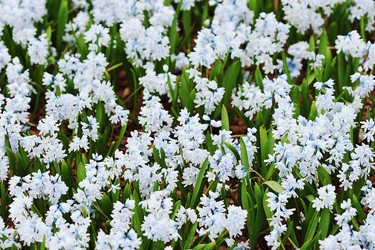 Similar image 21548948