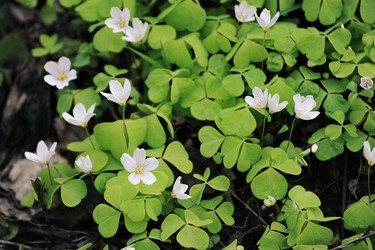 Similar image 21549168