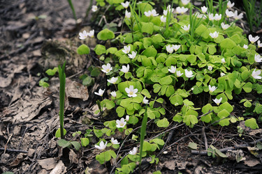 Similar image 21549174