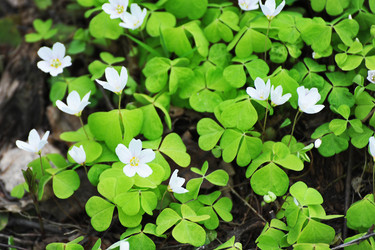 Similar image 21549175