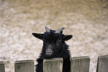 Similar image 21549203