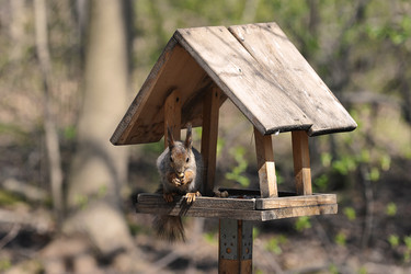 Similar image 21549206