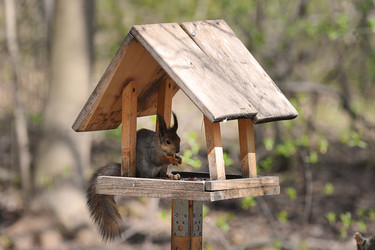 Similar image 21549207