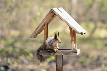 Similar image 21549210