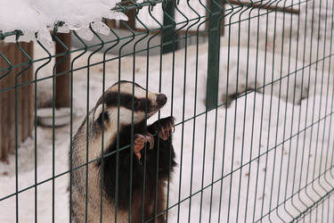 Similar image 21549218