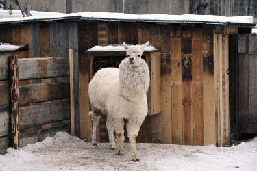 Similar image 21549227