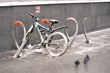 Similar image 21548973