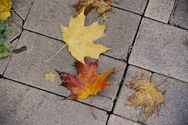 Similar image 21548989